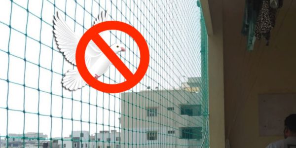 Pigeon Nets Installation Near Me in Thindlu - Pigeon Nets Price